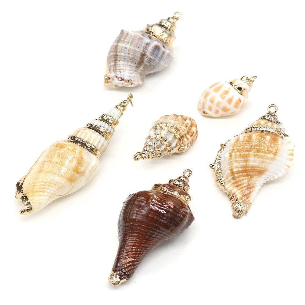 6427 15pcs Natural Shell Pendants Spiral Shell Pendants Conch Shell Beach